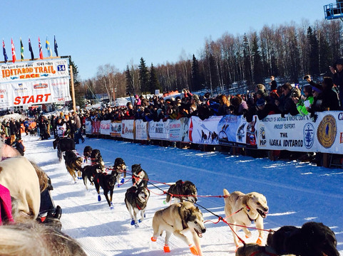 Salmon Berry Travel & Tours-安克雷奇必去景点