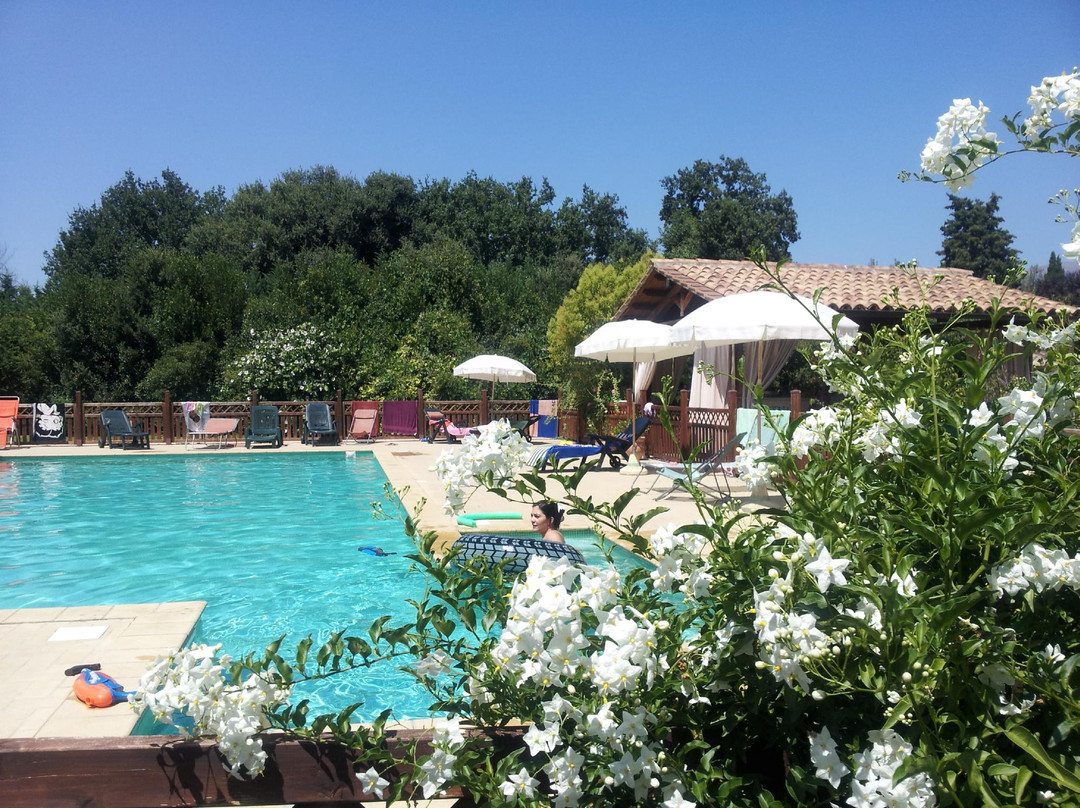 Budino酒店住宿-Agriturismo Benedetti