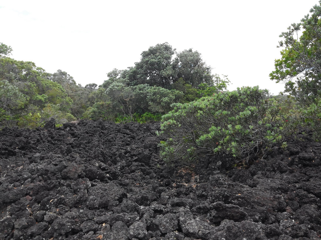 朗伊托托岛-奥克兰中心地区必去景点