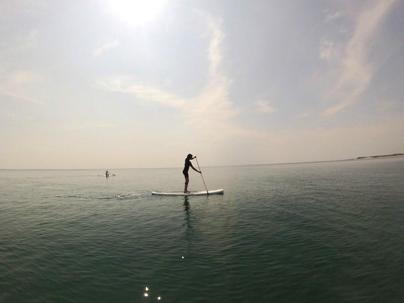 Pirate Surf School景点图片