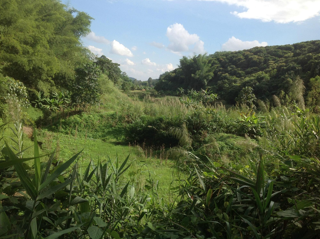 Chiang Rai Bicycle Tour-清莱必去景点