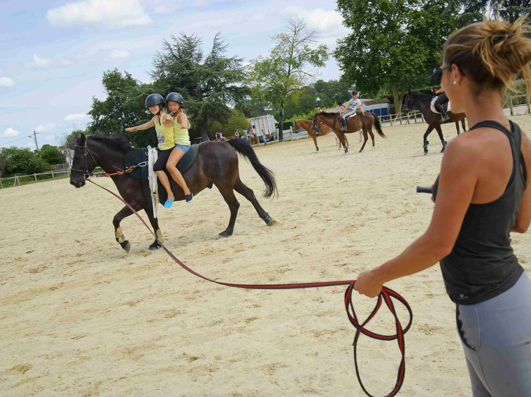 Centre equestre municipal ucpa de saint Medard en Jalles景点图片