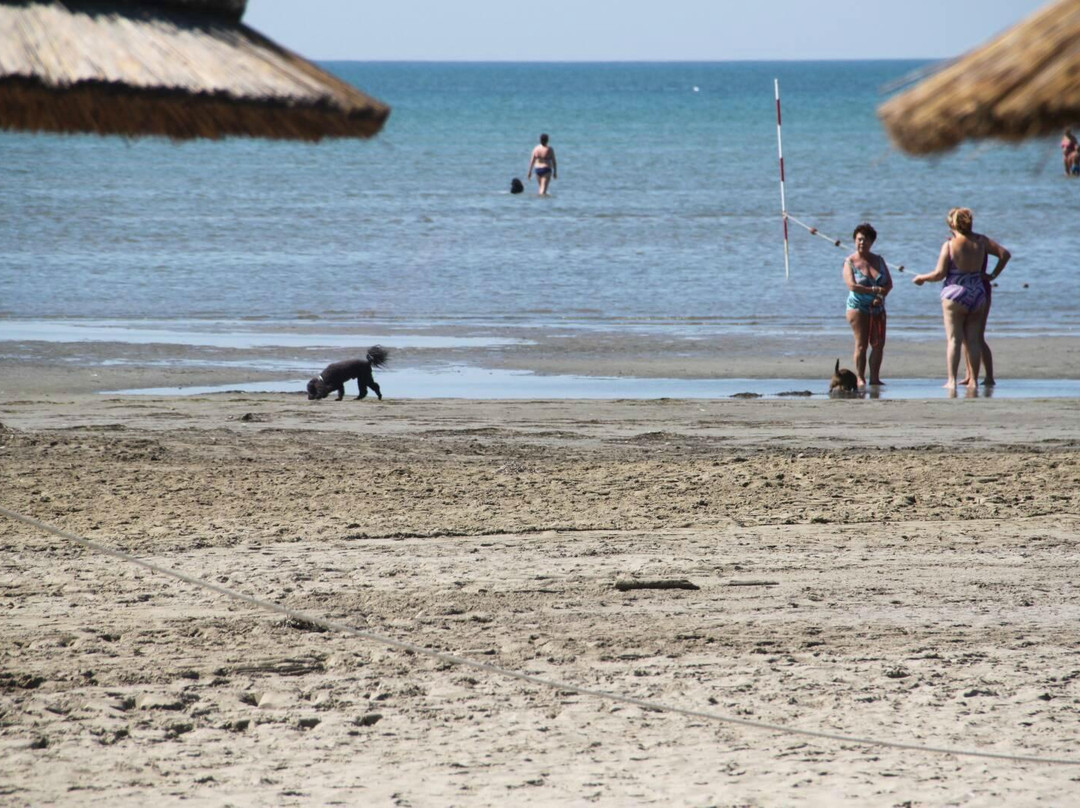 Lido di Fido景点图片