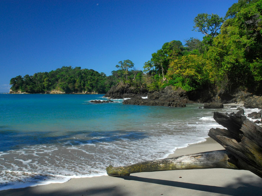Costa Rican Language Academy CRLA景点图片
