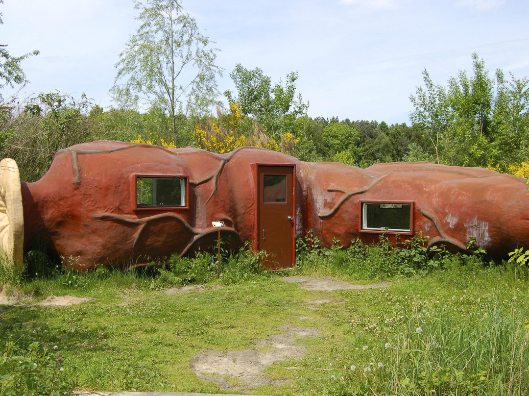 Stekene旅游攻略图片