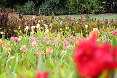 墨尔本皇家植物园-墨尔本必去景点
