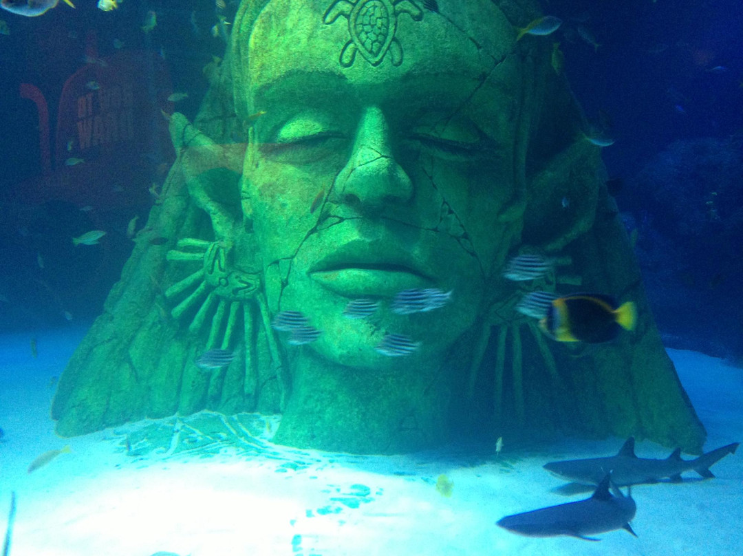 Sea Life Manchester-Trafford Park必去景点