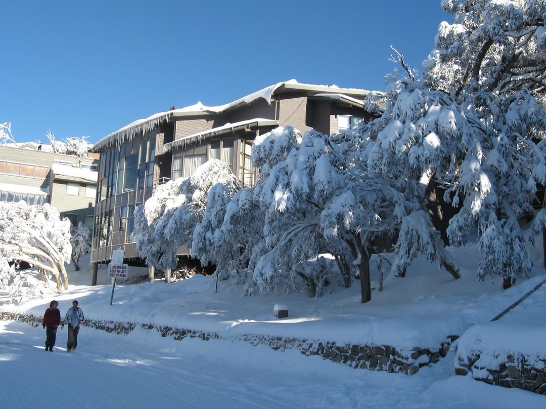 Downhill Ski Club