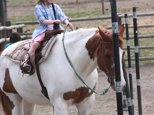 Erin Valley Riding Stables-坎卢普斯必去景点