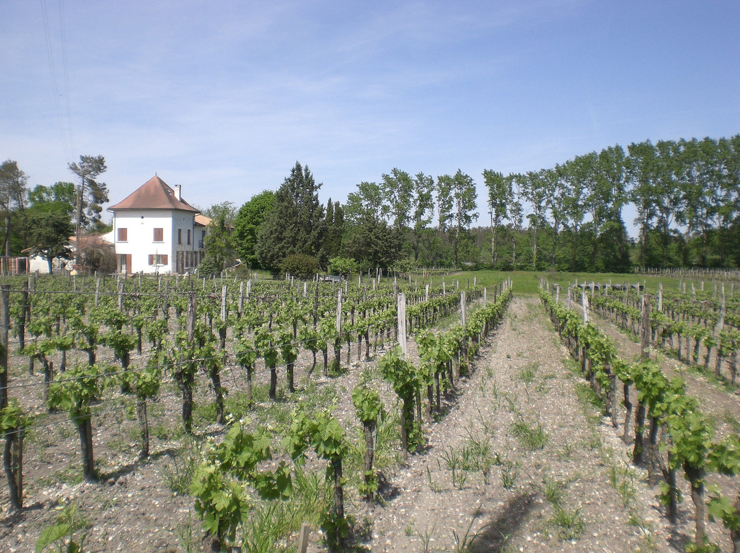 Château Méric et Chante l'Oiseau-La Brede必去景点