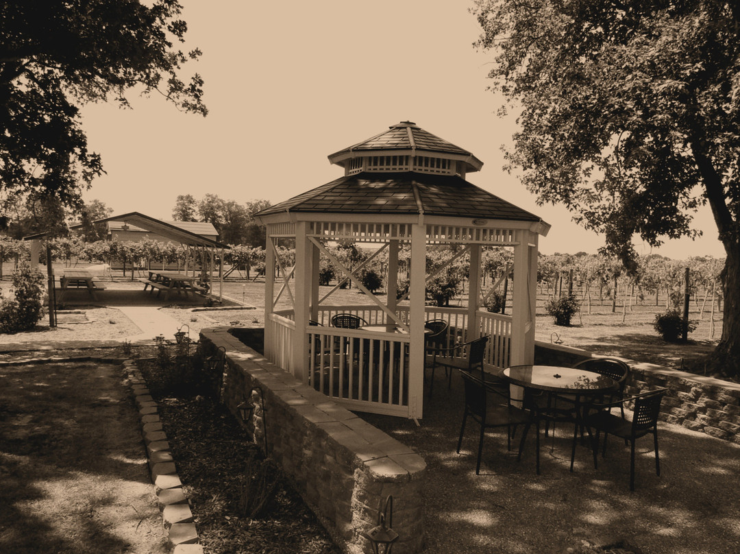 Homestead Vineyards-West Salem必去景点