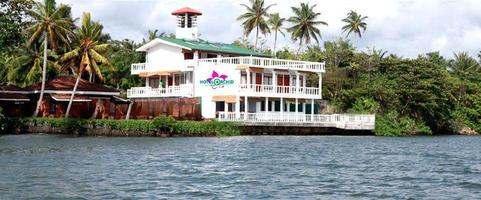 Hotel Orchid