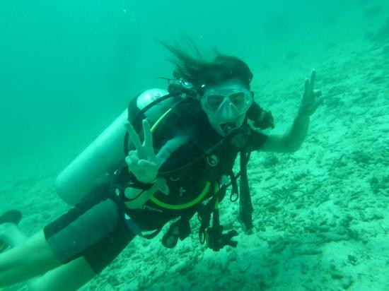 Nautilus Diving景点图片