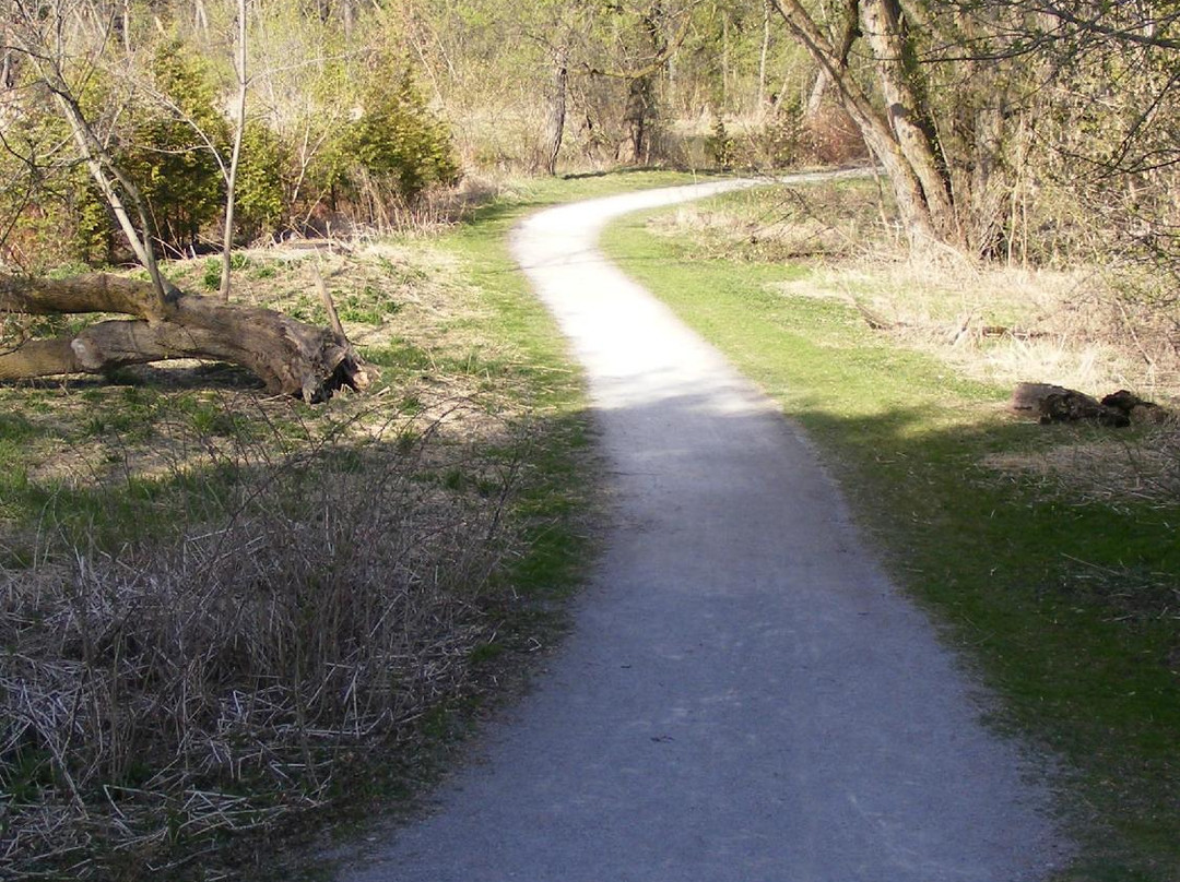 Fairy Lake Park-Newmarket必去景点