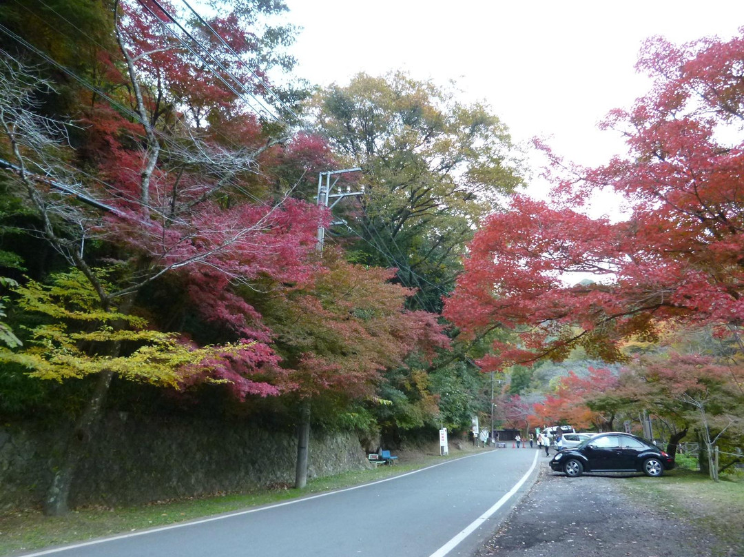 Iwayado Park景点图片