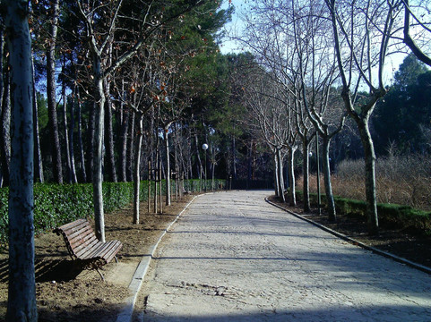 Parque La Quinta de los Molinos-马德里必去景点