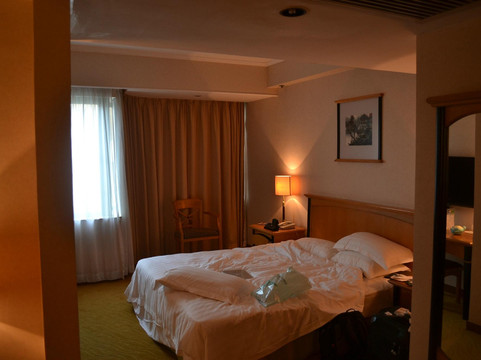 澳门维景酒店主图