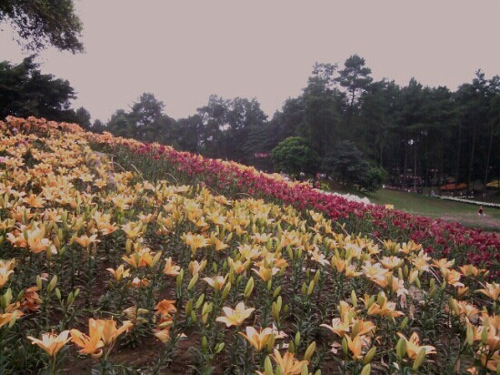 石象湖生态风景区-蒲江县必去景点