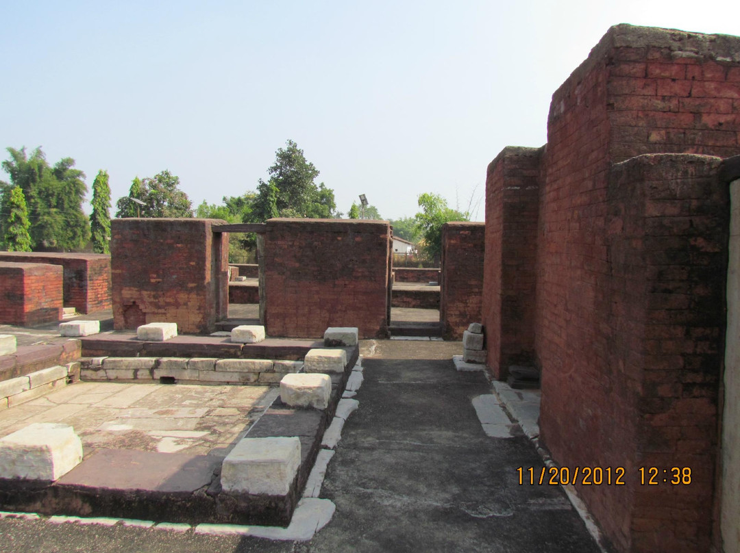 Swastik Vihar Mahasamund景点图片
