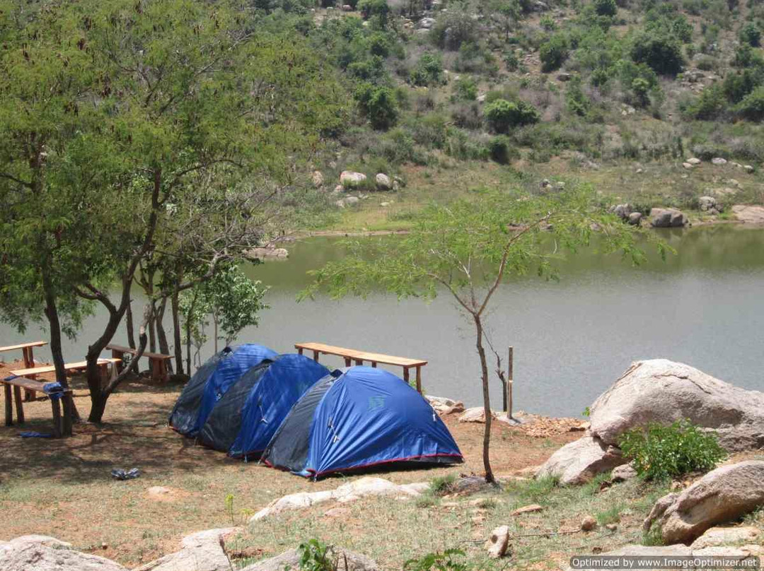 Fever Pitch Basecamp-Magadi必去景点