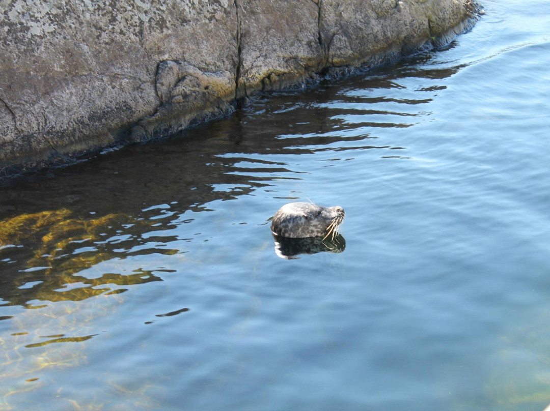The Lofoten Aquarium景点图片