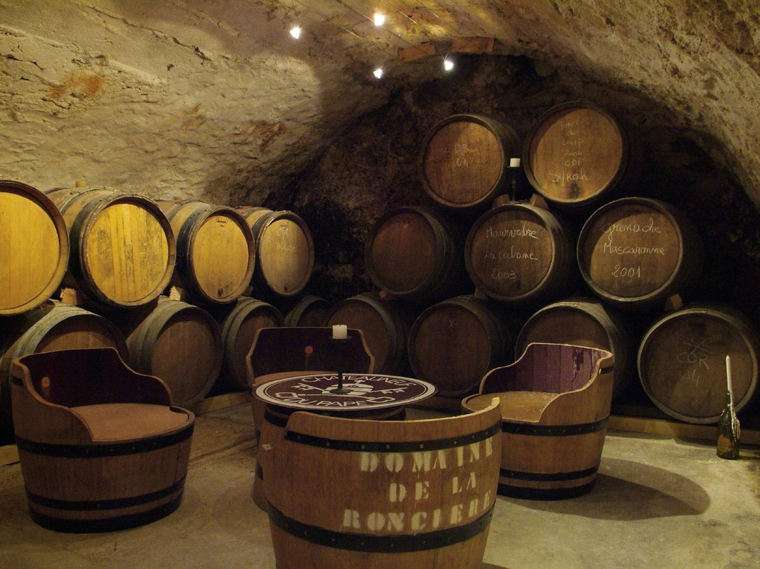 Domaine De La Ronciere-教皇新堡必去景点