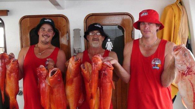 M.V. Mikat Cruises-Gladstone必去景点