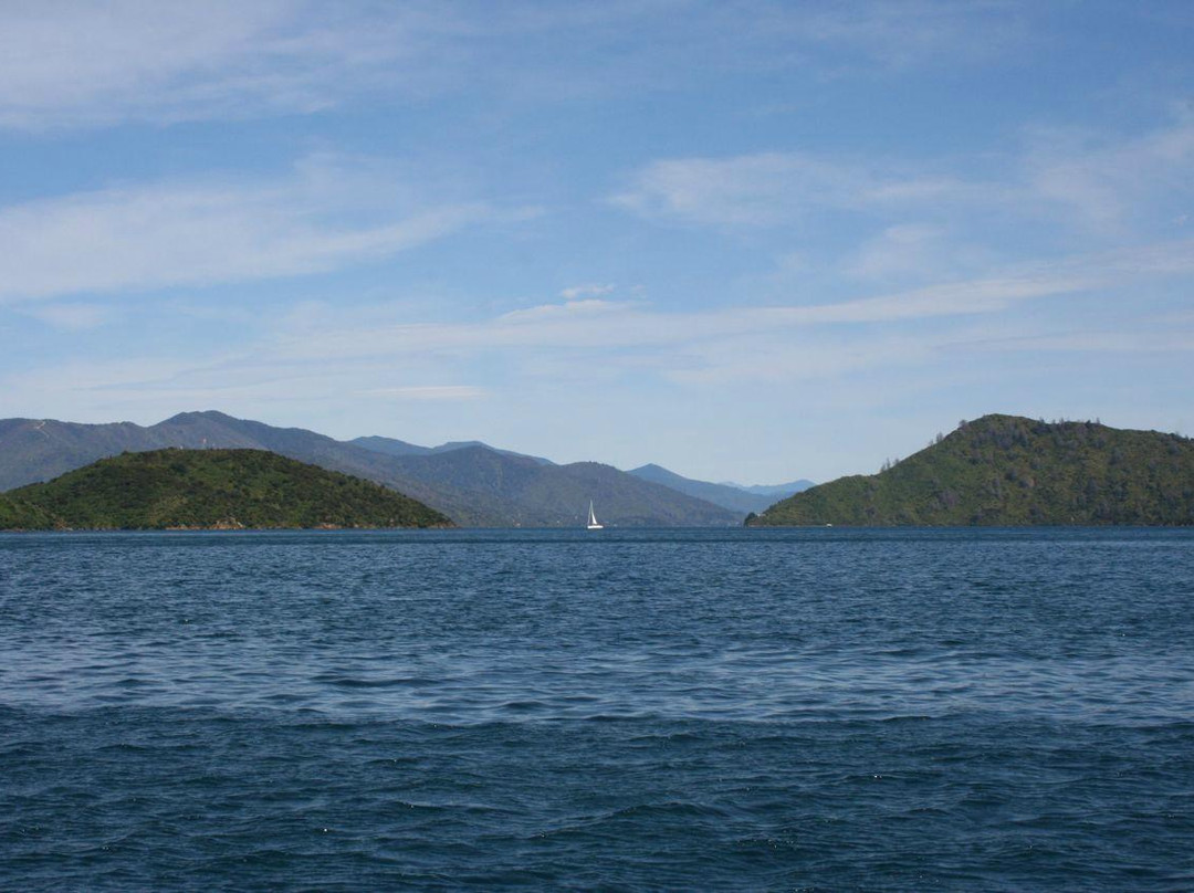 Queen Charlotte Boat Charters-皮克顿必去景点
