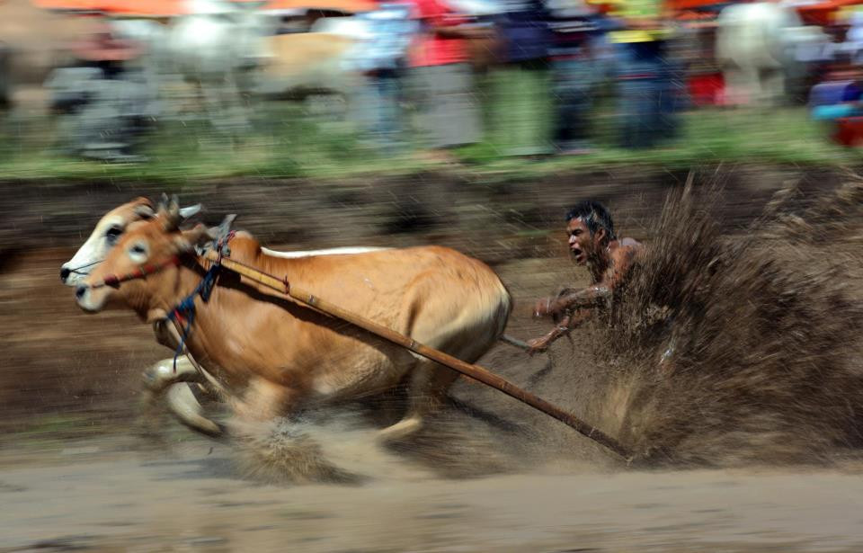 Lite 'N' Easy Tour-武吉丁宜必去景点