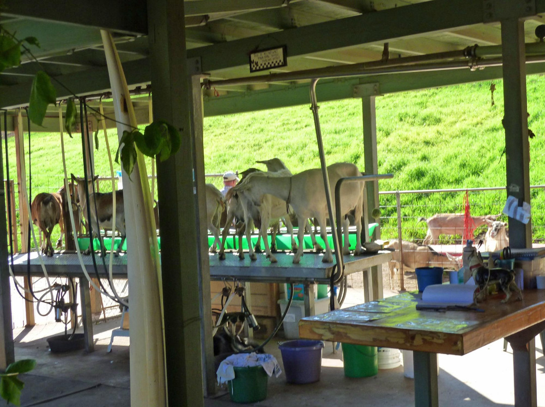 Maui Country Farm Tours-马卡瓦必去景点