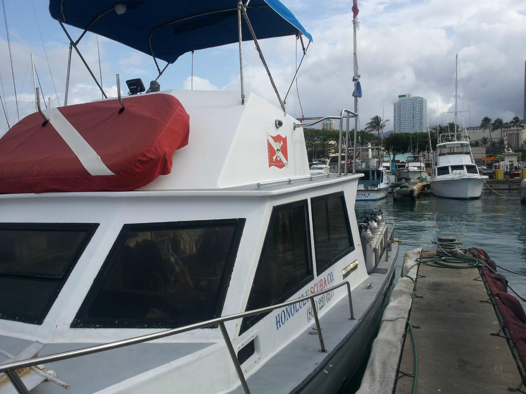 Honolulu Scuba Company-火奴鲁鲁必去景点