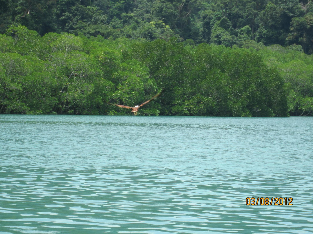 Langkawi Island Tours by Jet Ski景点图片
