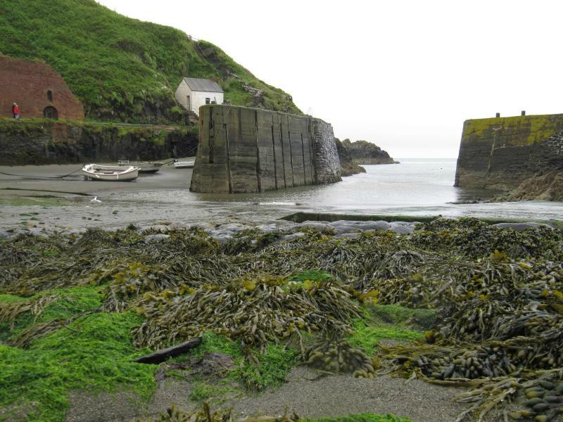 Porthgain Harbour景点图片