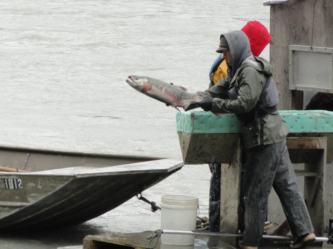 Chilkoot River-海恩斯必去景点