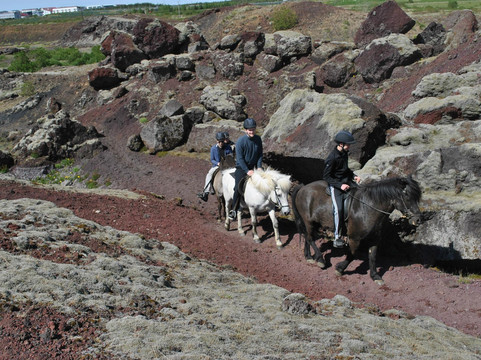 Reykjavik Riding-雷克雅未克必去景点