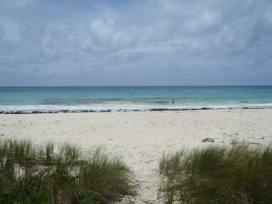 Playa Navío-Puerto Real必去景点