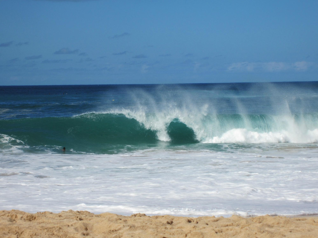 威美亚湾海滨公园-哈雷瓦必去景点