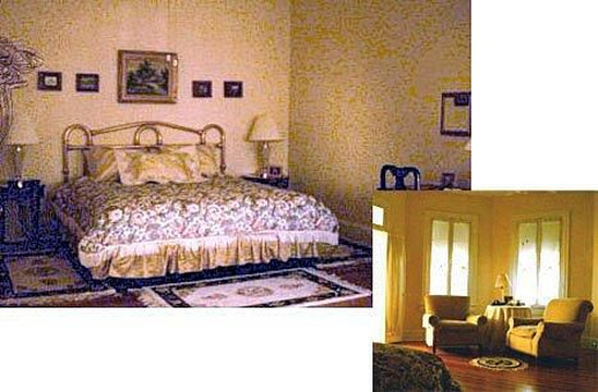 Cedars & Beeches主图