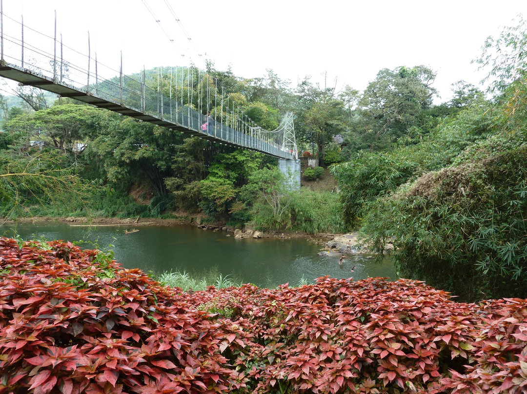皇家植物园-佩拉德尼亚必去景点