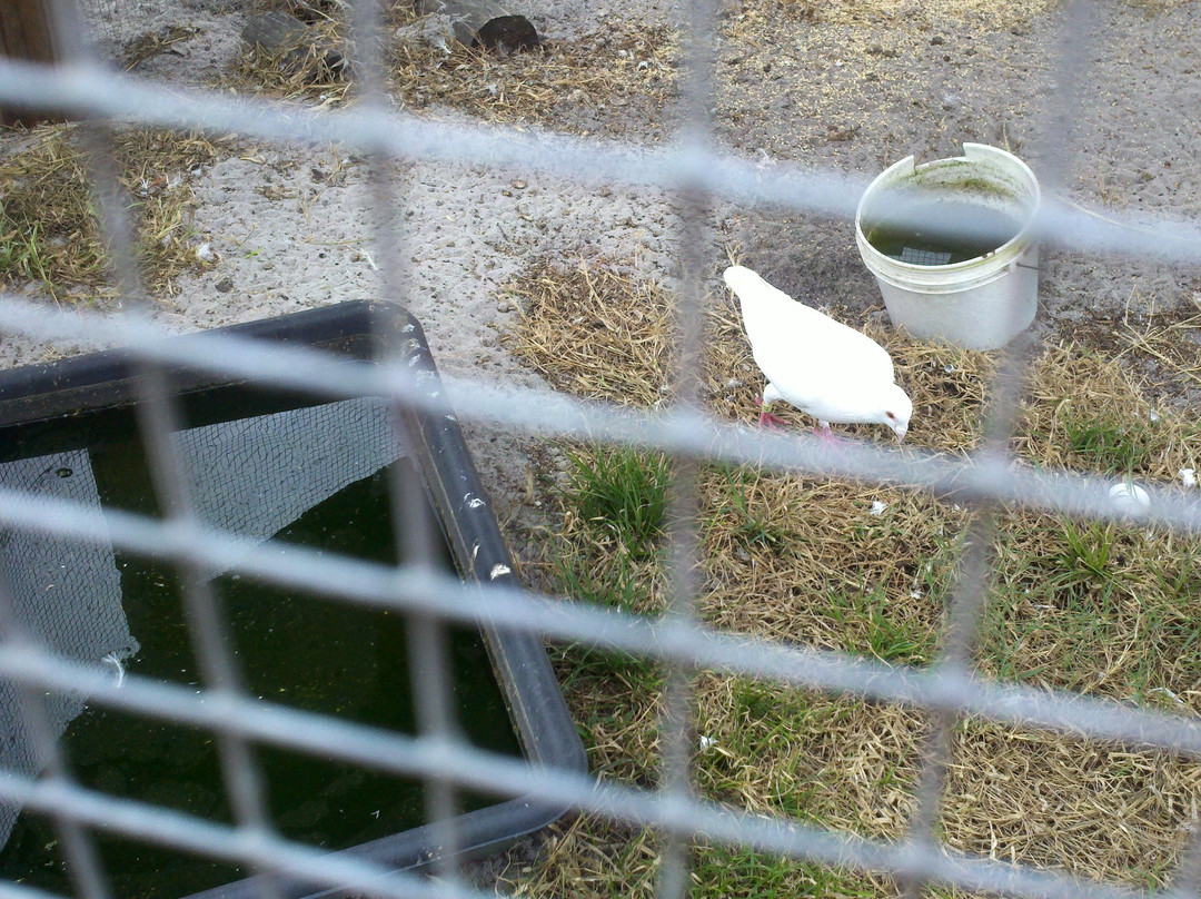 Henscratch Farms Vineyard & Winery-Lake Placid必去景点