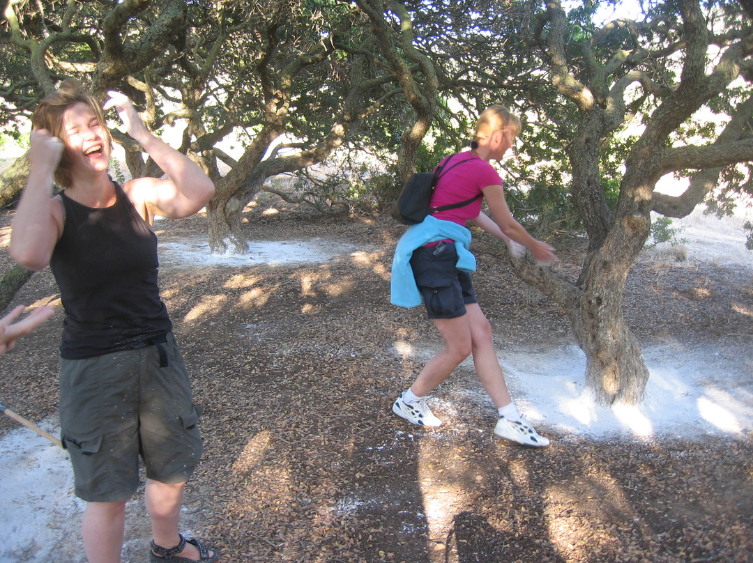 Masticulture-Mesta必去景点