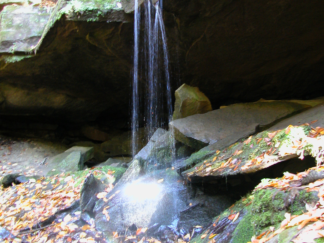 McConnells Mill State Park景点图片