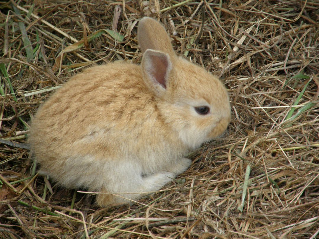 Granja Educativa Tierraviva-蒙特港必去景点