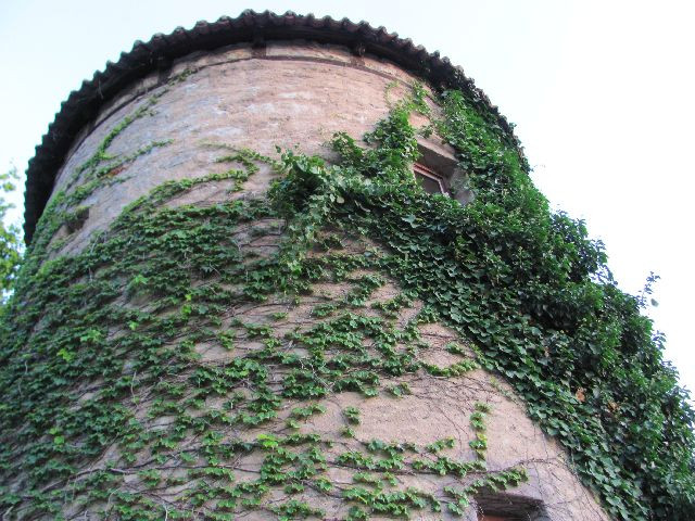 Südlicher Eckturm景点图片