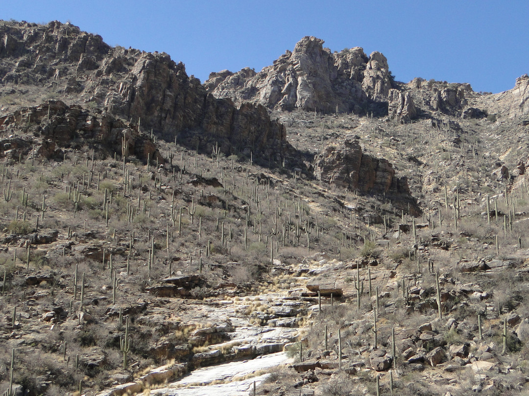 萨比诺峡谷-图森必去景点