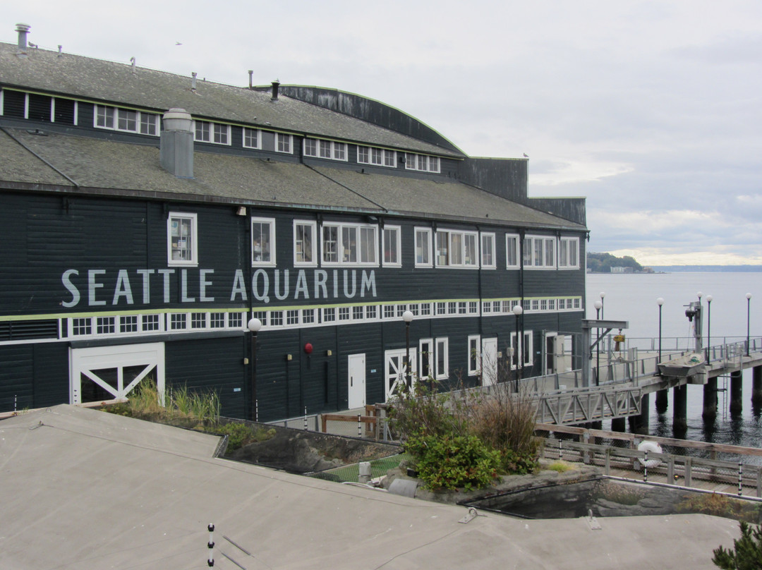 西雅图水族馆-西雅图必去景点