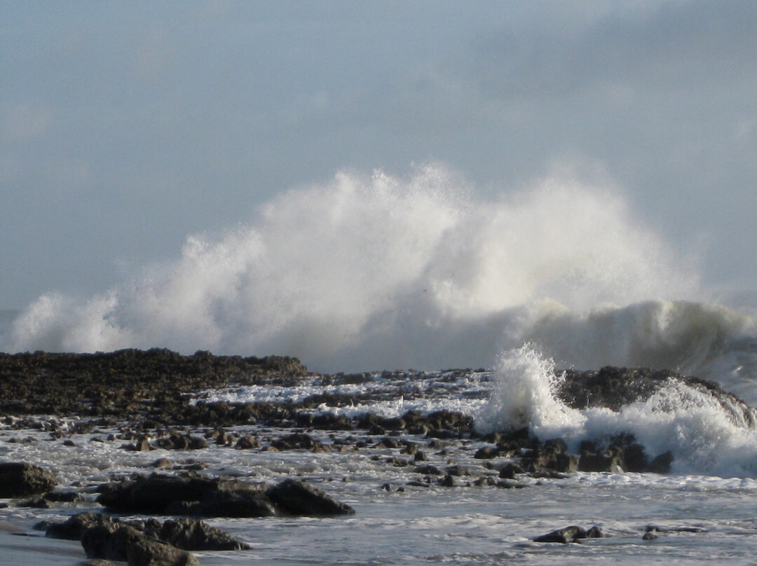Blowing Rocks Nature Preserve-朱庇特必去景点