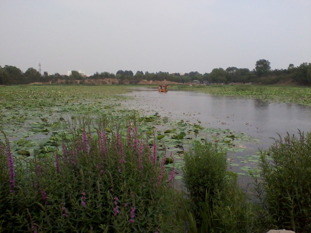 圆明园-北京市必去景点