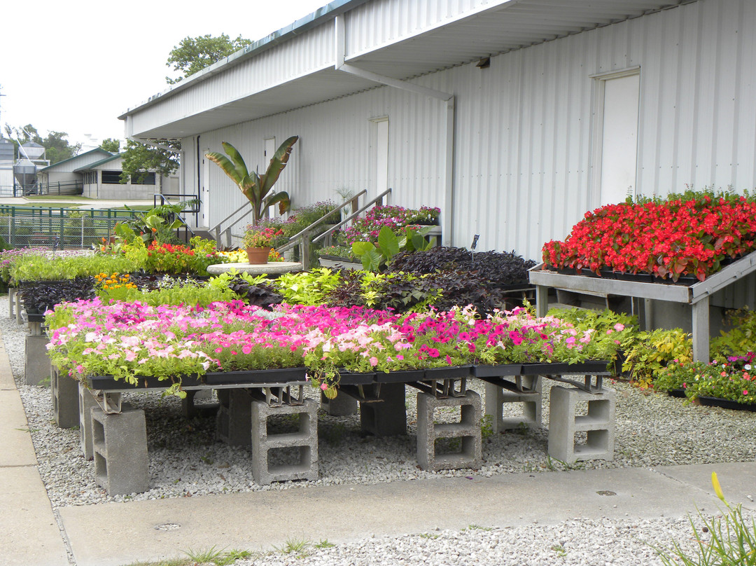 College of the Ozarks-Point Lookout必去景点