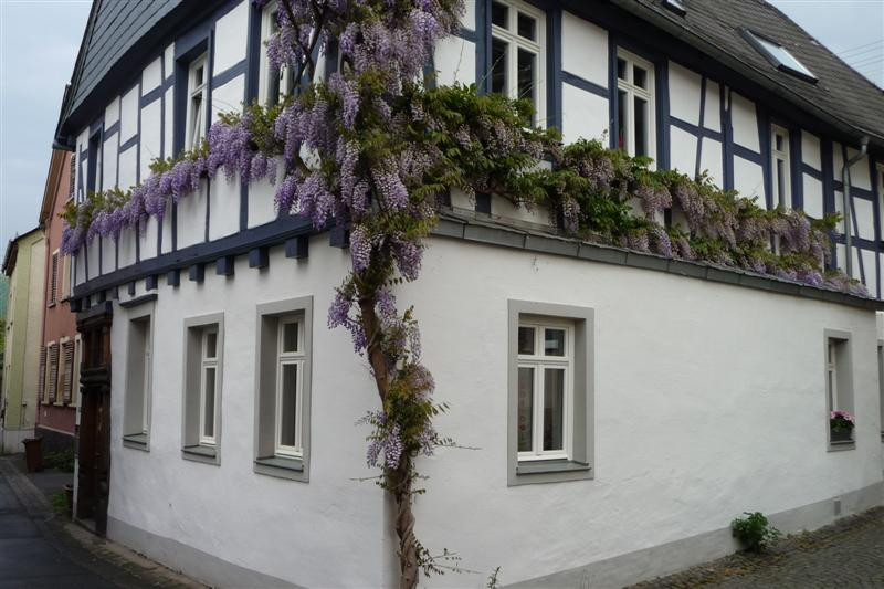 Oberheimbach酒店住宿-Arnsteiner Hof